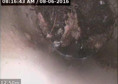 Underwater Shot of Drain Pipe in Buderim Bed and Breakfast