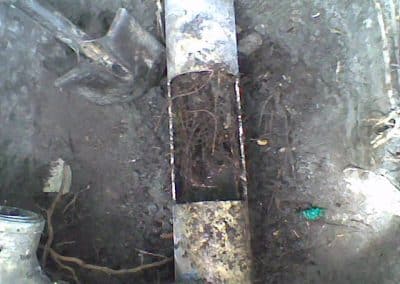 root intrusion in water pipes - Sunshine Coast