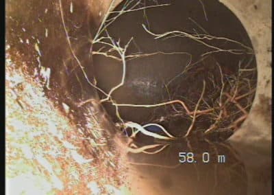 CCTV Of Pipe Showing Root Intrusion - Caloundra, Sunshine Coast
