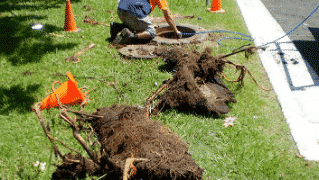 What Causes Blocked Drains?