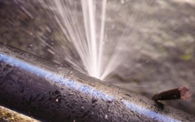 Can You Have A Broken Pipe Repaired Without Digging?